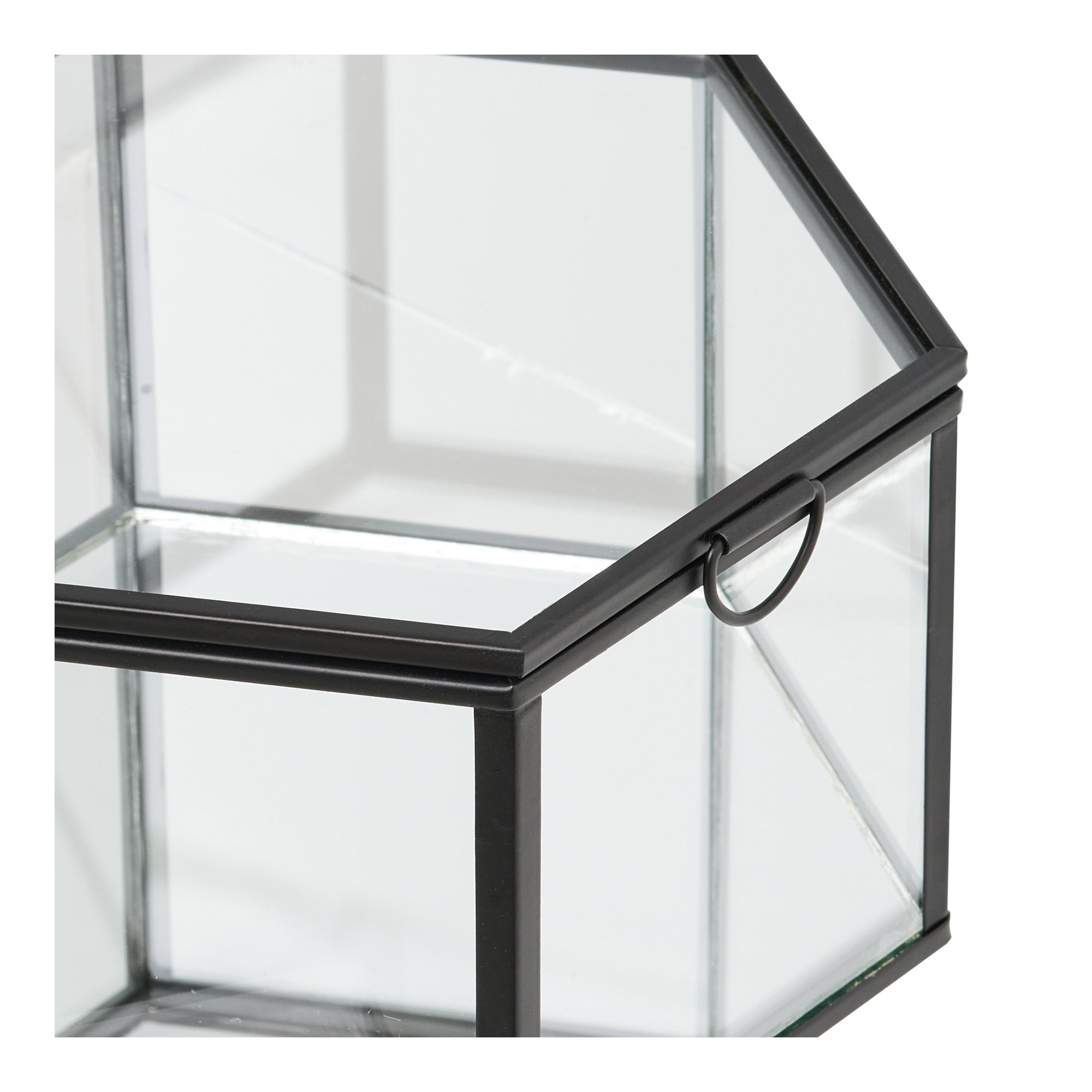 Torpe Box – Clear / Black