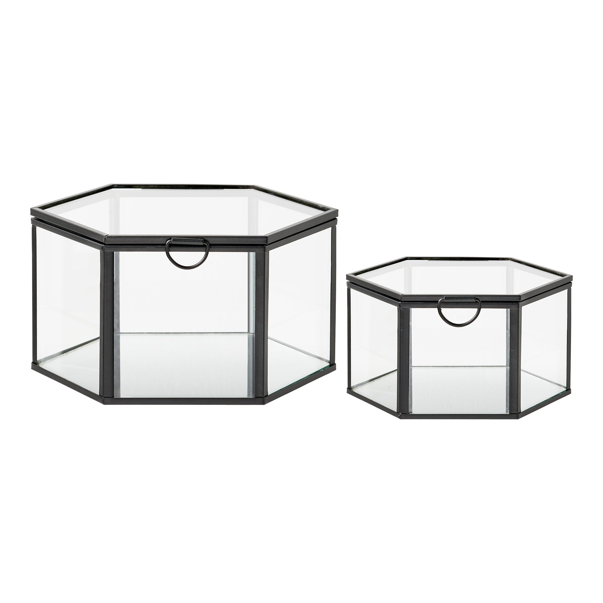 Torpe Box – Clear / Black