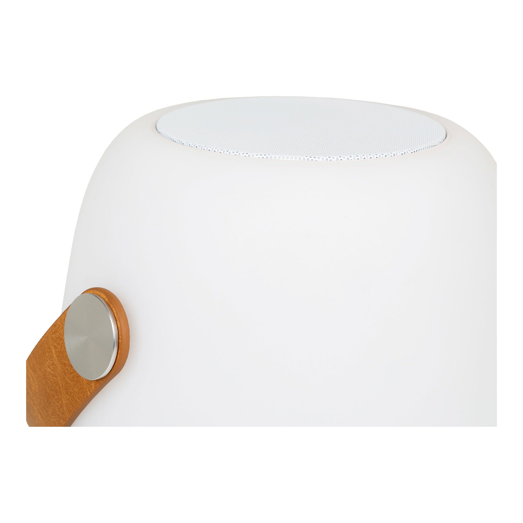 Cardiff LED Lamp