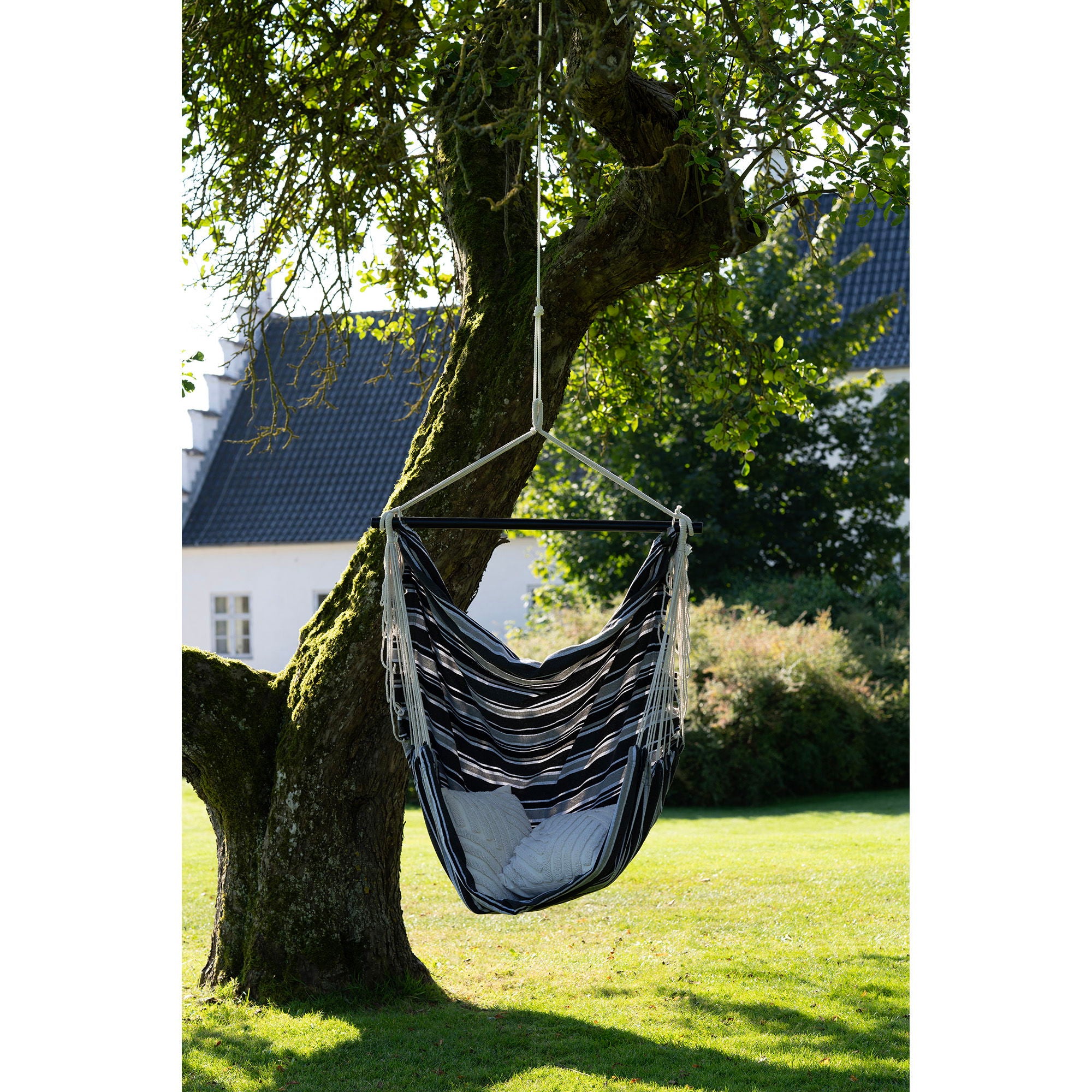 Lamia Hammock Chair