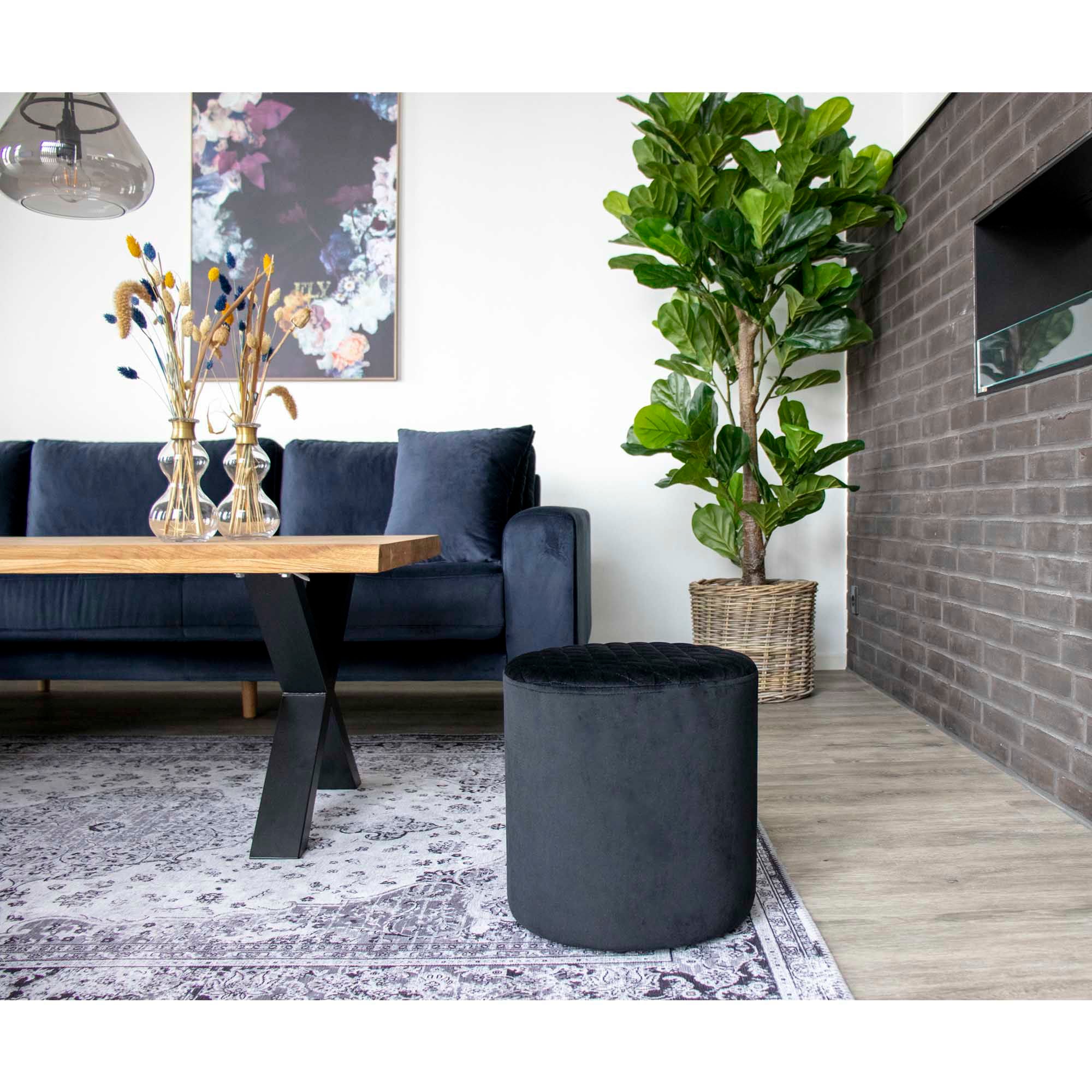 Fiddle Leaf Tree