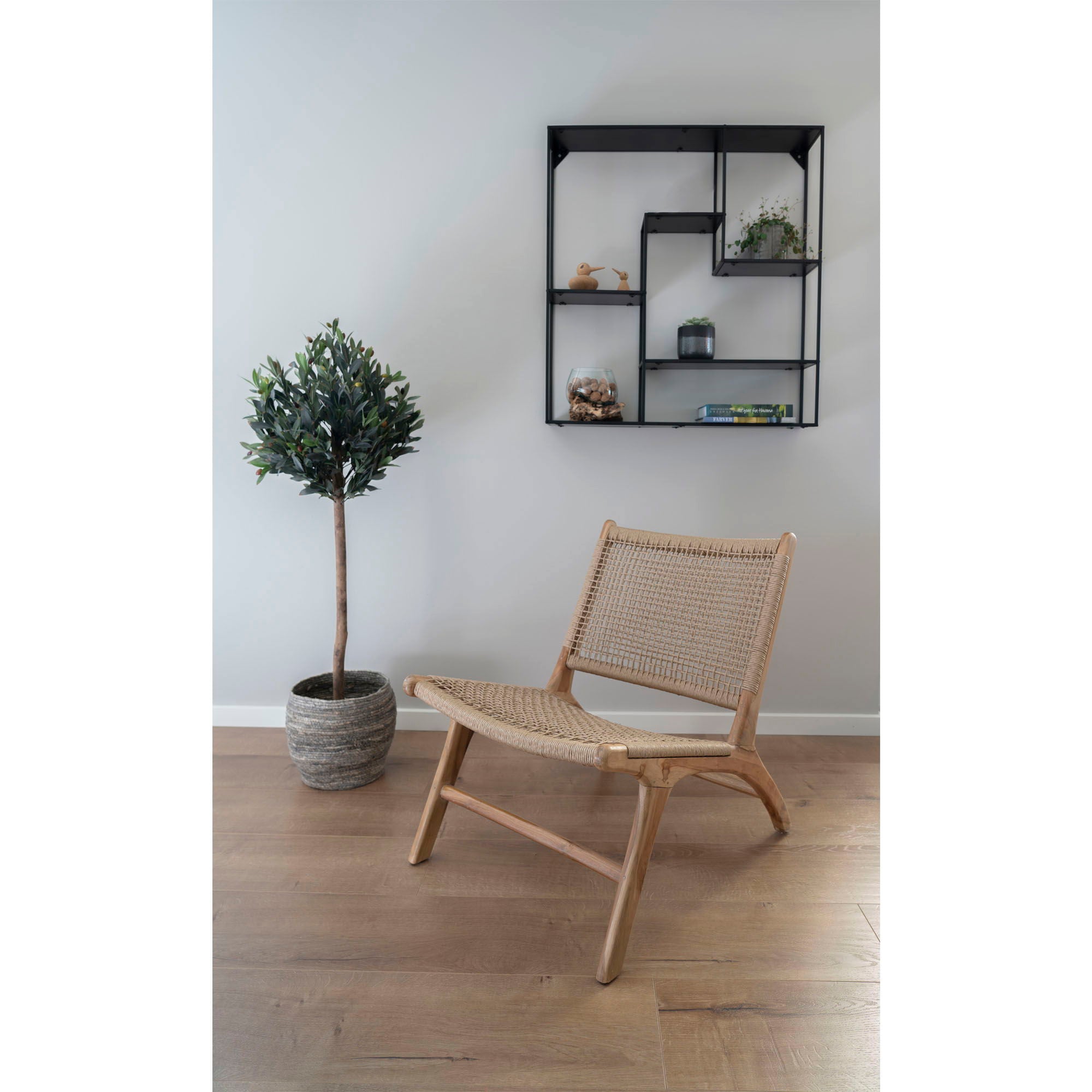 Olive Tree