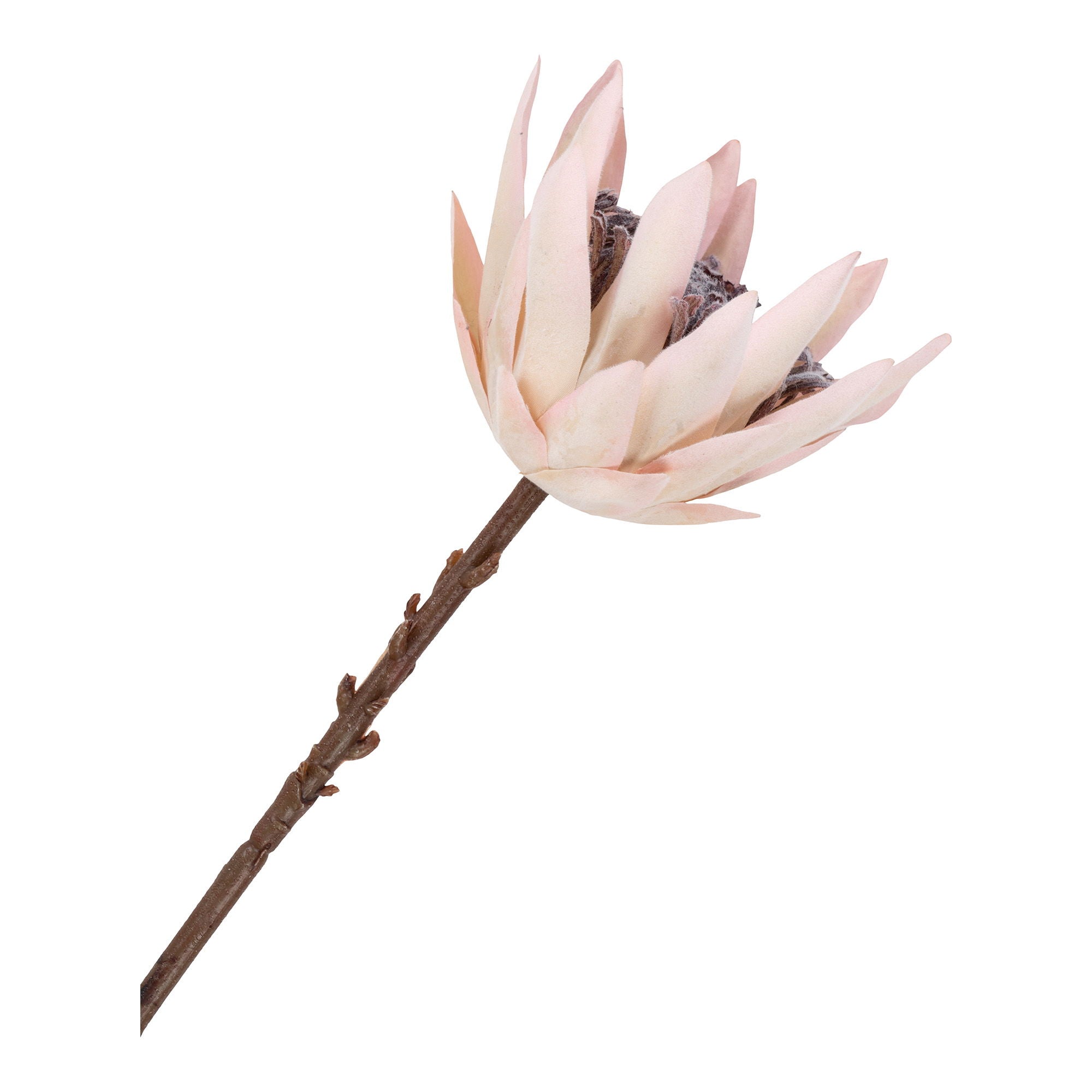 King Protea Bouquet