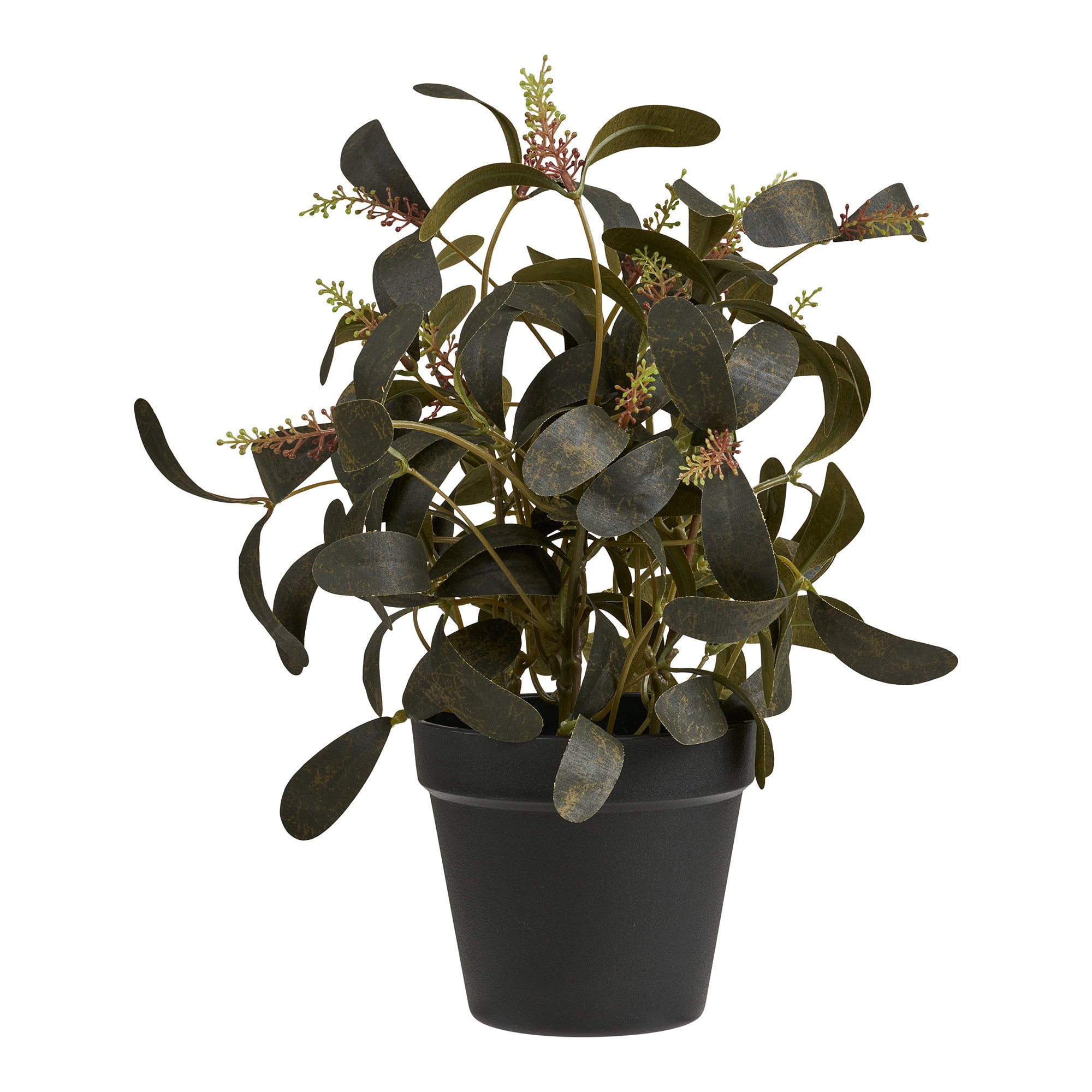 Plant – Green – 22×22 cm