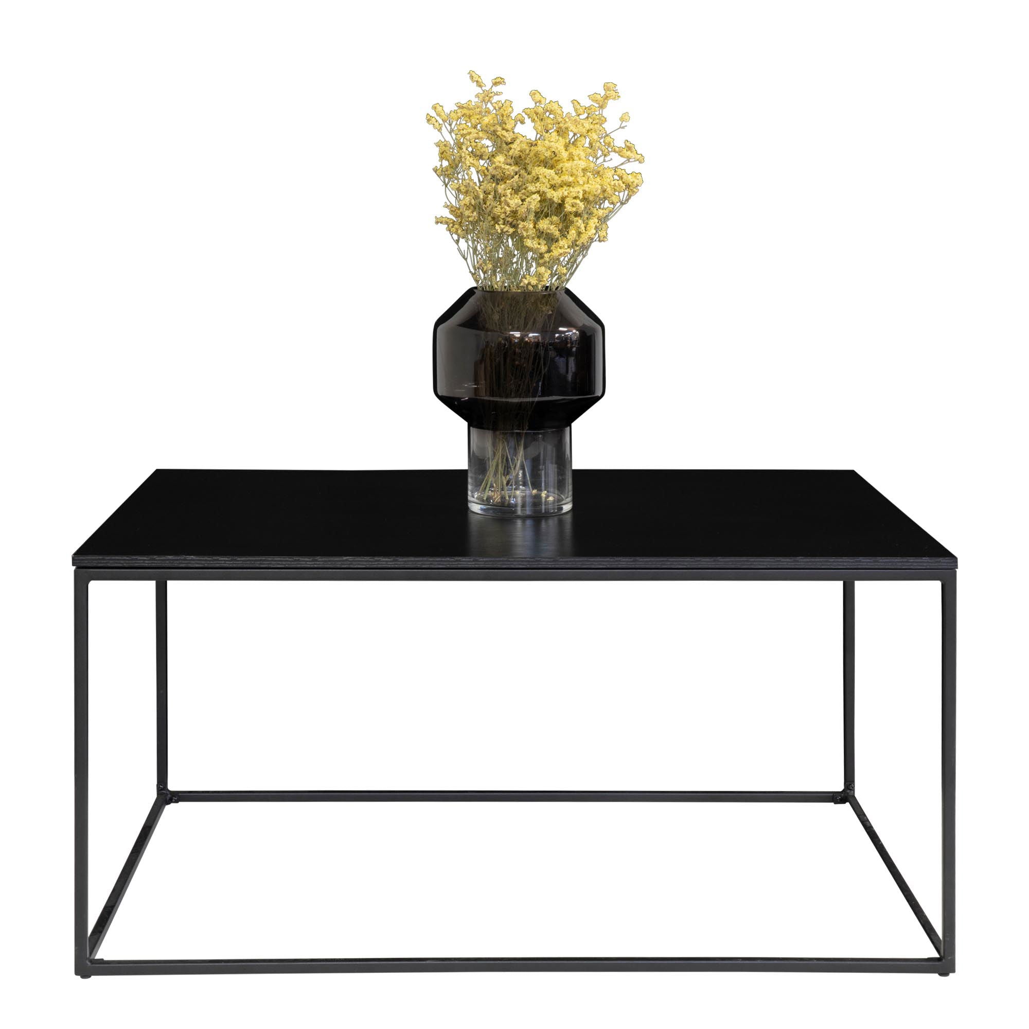 Vita Coffee table