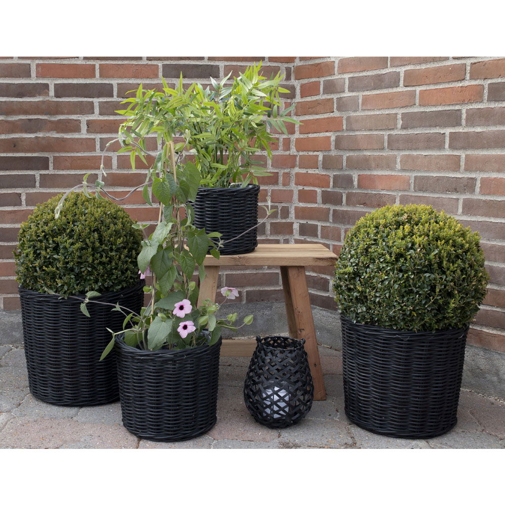 Bogor Baskets