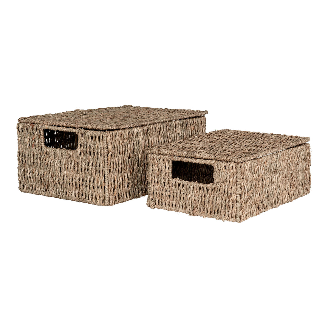 Venoso Baskets