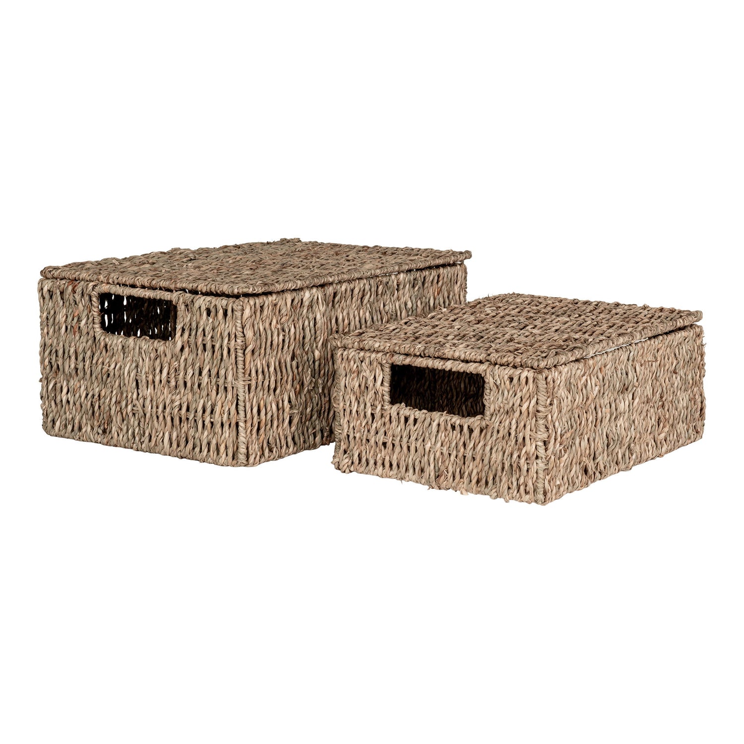 Venoso Baskets