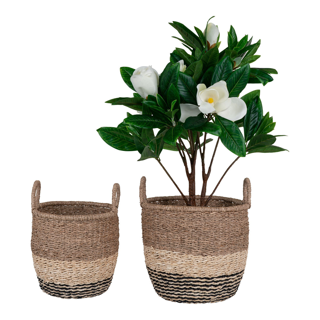 Lima Baskets