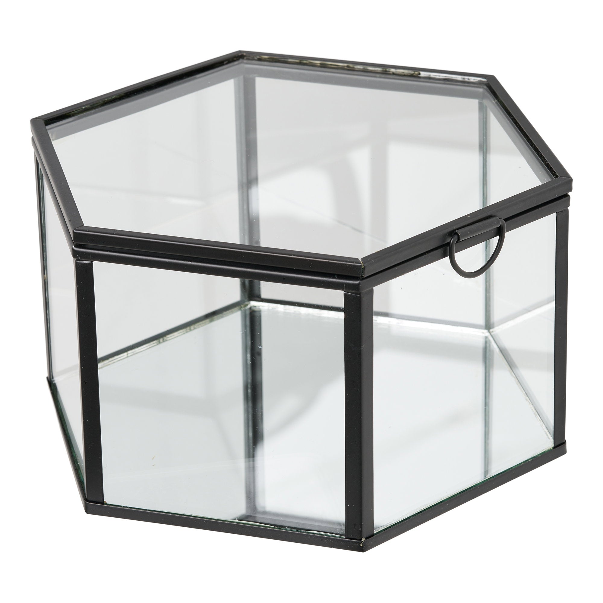 Torpe Box – Clear / Black