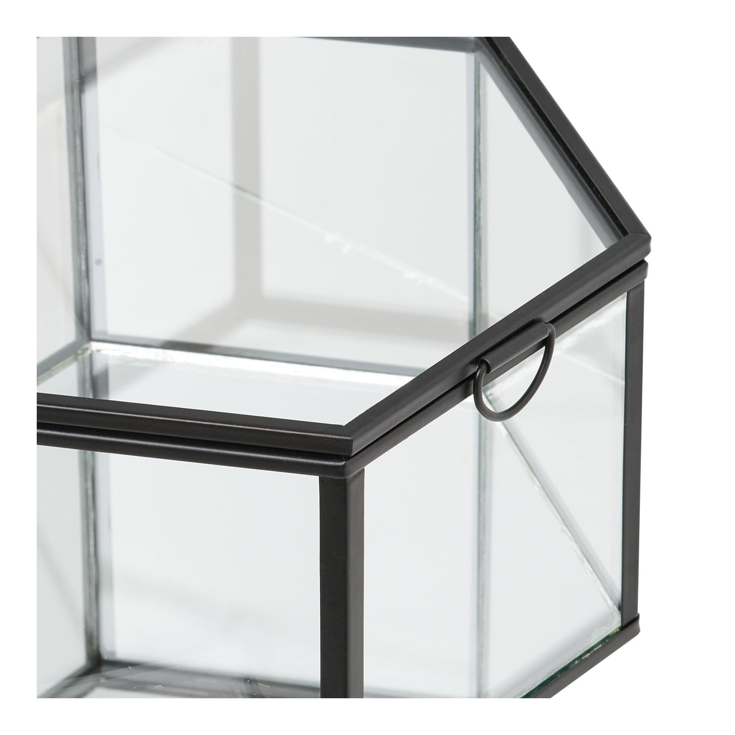 Torpe Box – Clear / Black