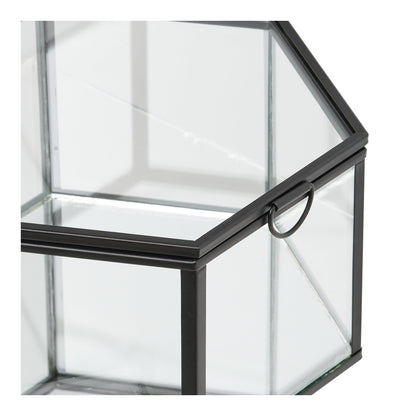 Torpe Box – Clear / Black