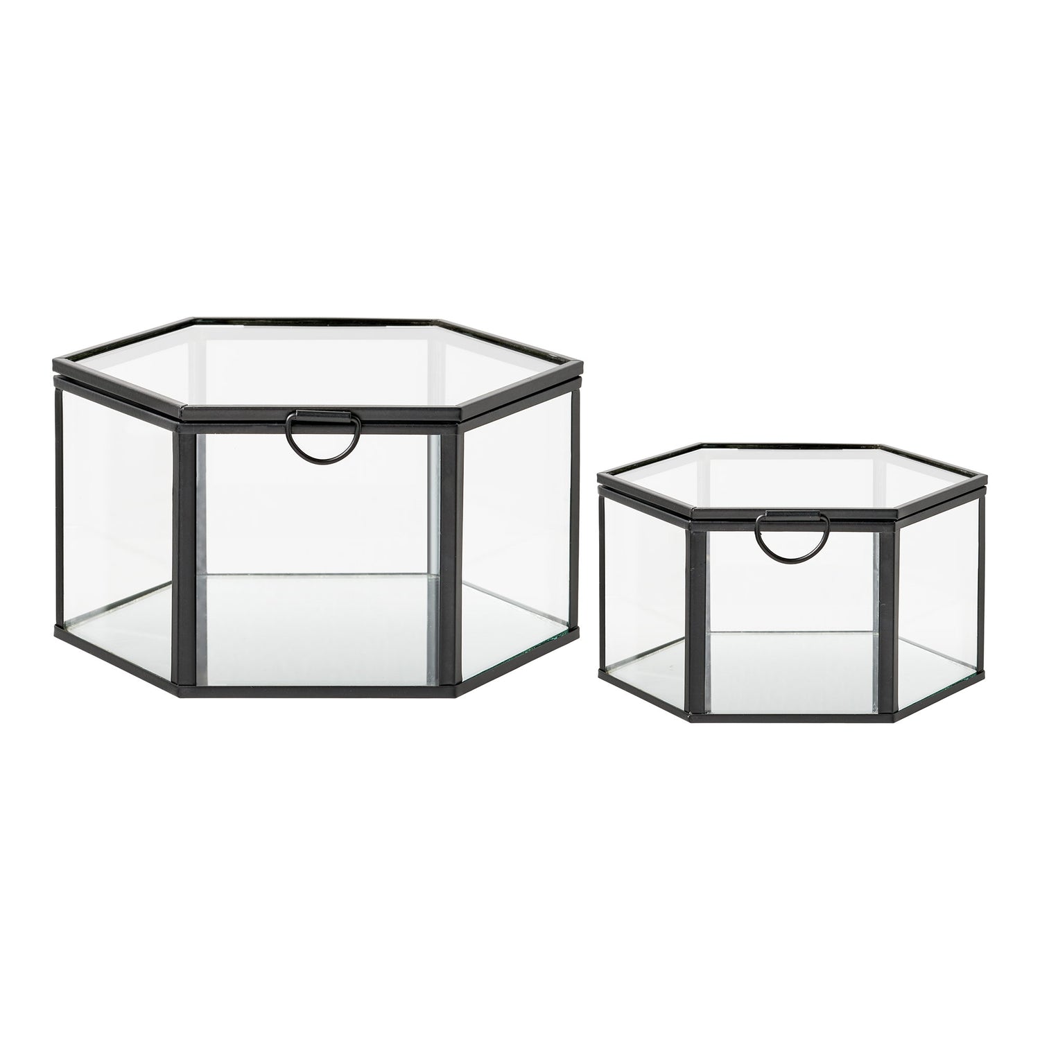 Torpe Box – Clear / Black