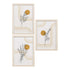 Madison Frame set – Natural