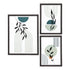 Aspen Frame set – Black