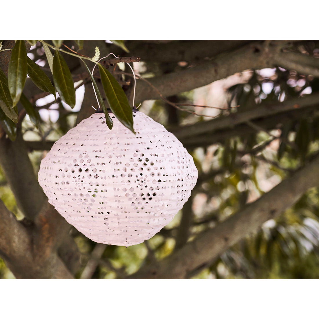 Harwood LED Lantern