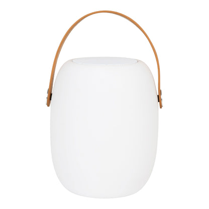 Cardiff LED Lamp