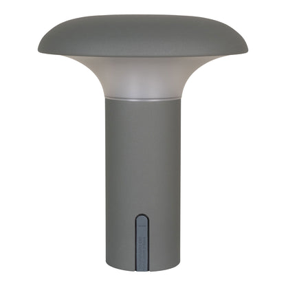 Ramsey LED Lamp