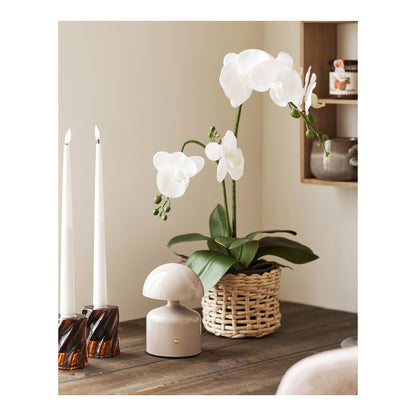 Aulla Table Lamp – Grey