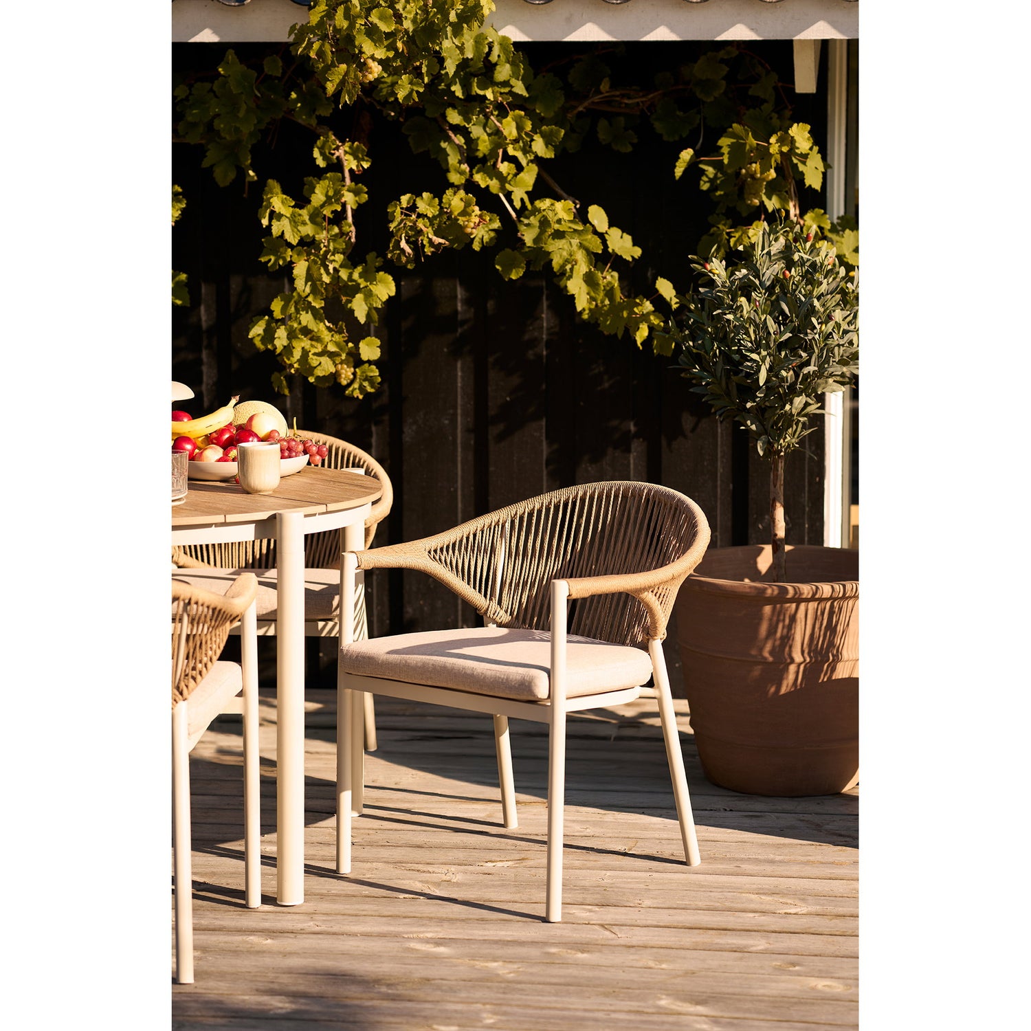 Abela Dining Chair – Sand / Natural