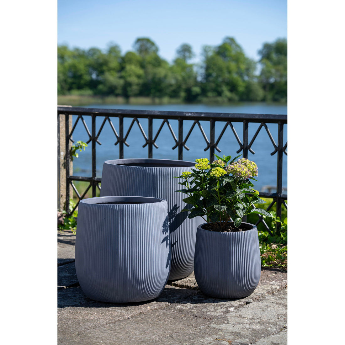 Denton Pots