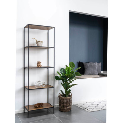 Fiddle Leaf Tree