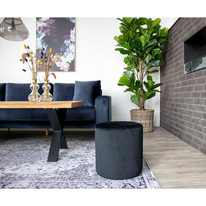 Fiddle Leaf Tree