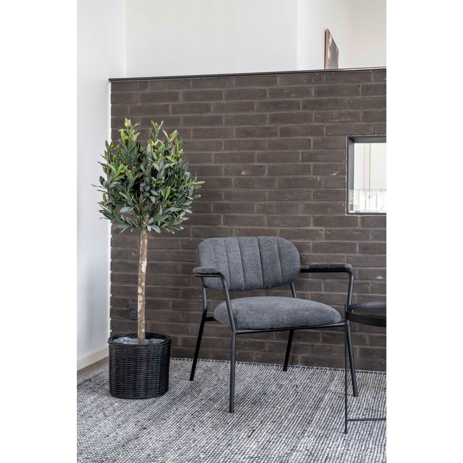 Olive Tree