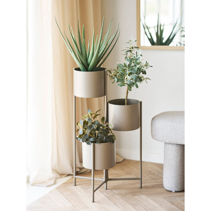 Plant – Green