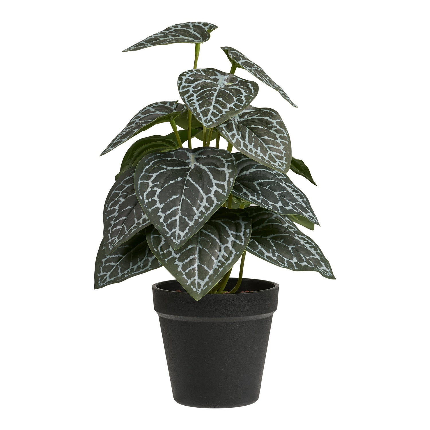 Plant – Green – 21×20 cm