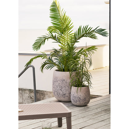 Grass Plant – Green